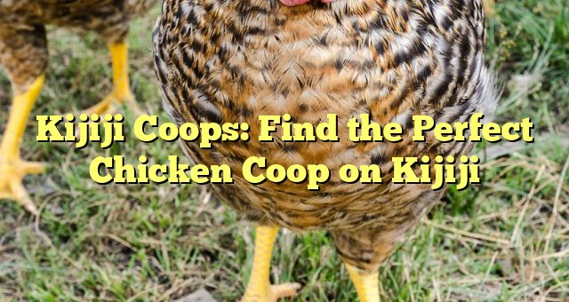 Kijiji Coops: Find the Perfect Chicken Coop on Kijiji 